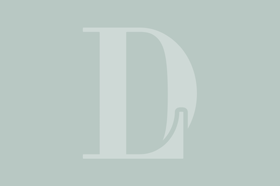 Dr. Liland Logo Icon Grey